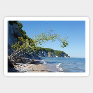 Chalk coast, chalk cliffs, Ruegen Island, Mecklenburg-Western Pomerania, Germany Sticker